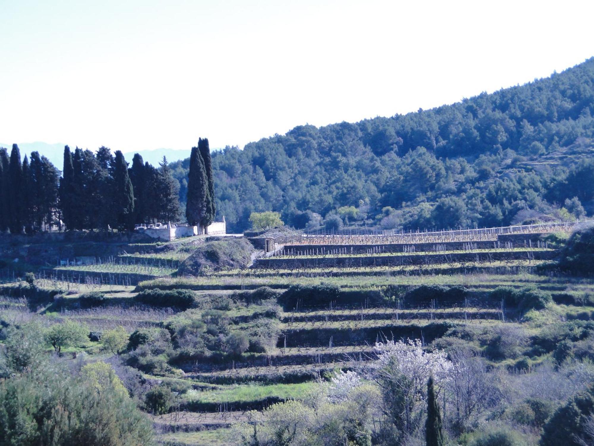 Heritage Apartments Kyra & Fox In Pitve, Hvar ภายนอก รูปภาพ